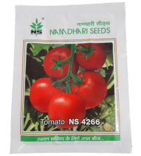 Tomato NS 4266 (Namdhari)